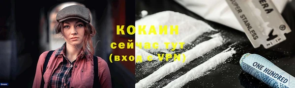 твердый Иннополис