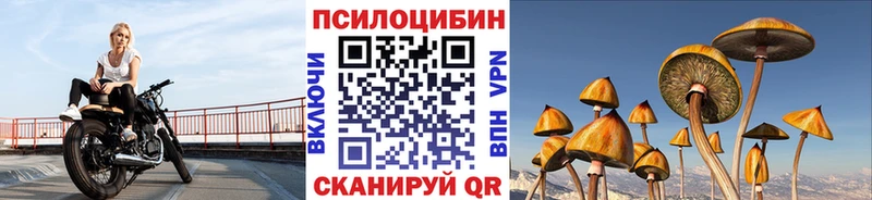 Псилоцибиновые грибы Psilocybe  Купить где  Сясьстрой 